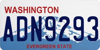 WA license plate ADN9293