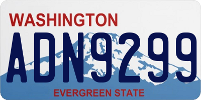 WA license plate ADN9299