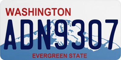 WA license plate ADN9307