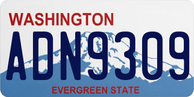 WA license plate ADN9309