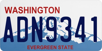 WA license plate ADN9341