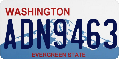 WA license plate ADN9463