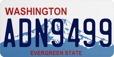 WA license plate ADN9499