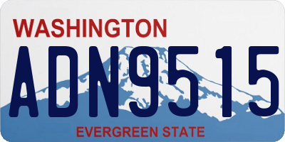 WA license plate ADN9515