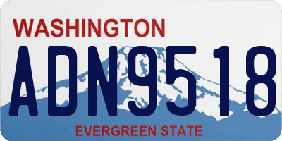 WA license plate ADN9518