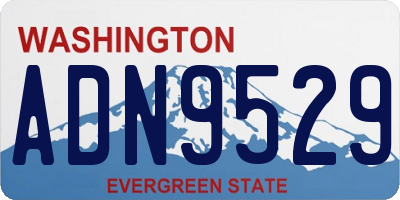 WA license plate ADN9529