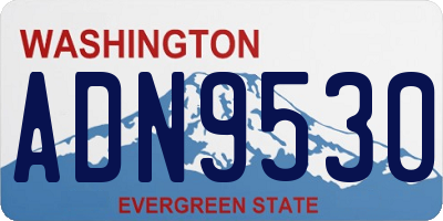WA license plate ADN9530