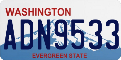 WA license plate ADN9533