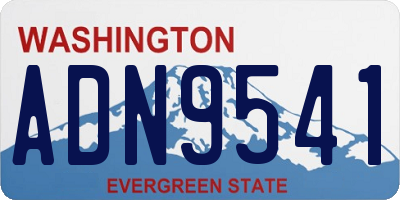 WA license plate ADN9541