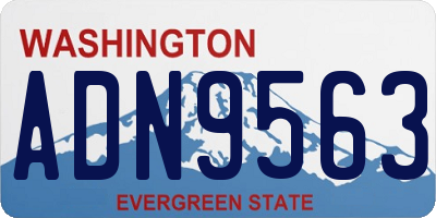 WA license plate ADN9563