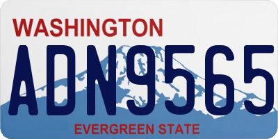 WA license plate ADN9565