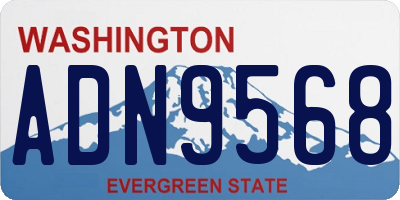 WA license plate ADN9568