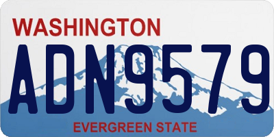 WA license plate ADN9579