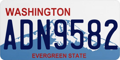WA license plate ADN9582
