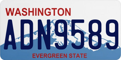 WA license plate ADN9589