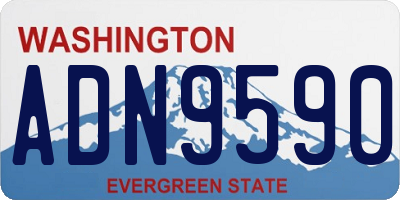 WA license plate ADN9590