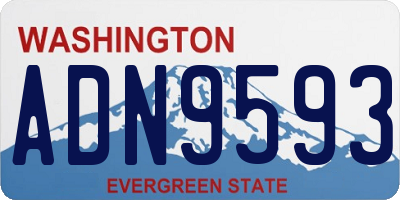 WA license plate ADN9593