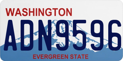 WA license plate ADN9596