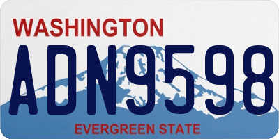 WA license plate ADN9598