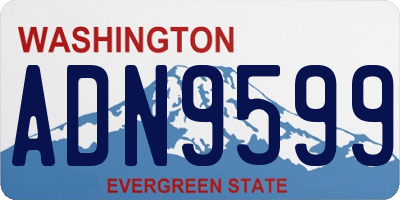 WA license plate ADN9599