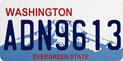 WA license plate ADN9613