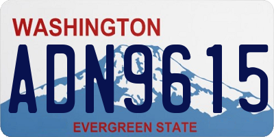 WA license plate ADN9615
