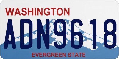 WA license plate ADN9618