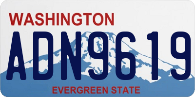 WA license plate ADN9619