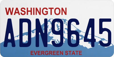 WA license plate ADN9645