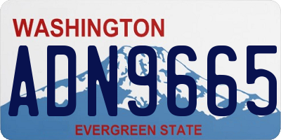 WA license plate ADN9665