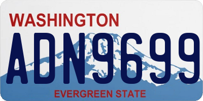 WA license plate ADN9699