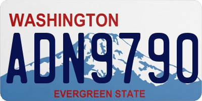 WA license plate ADN9790