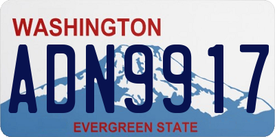 WA license plate ADN9917