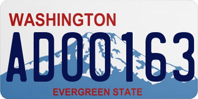 WA license plate ADO0163