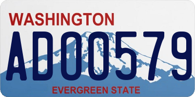 WA license plate ADO0579