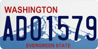 WA license plate ADO1579