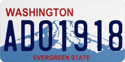 WA license plate ADO1918