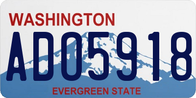 WA license plate ADO5918