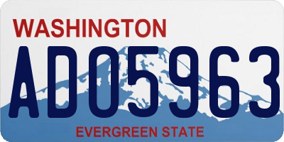 WA license plate ADO5963