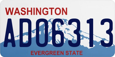 WA license plate ADO6313