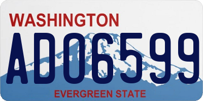 WA license plate ADO6599