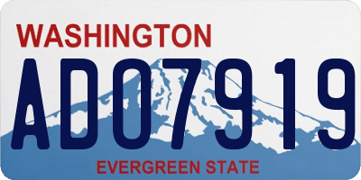 WA license plate ADO7919