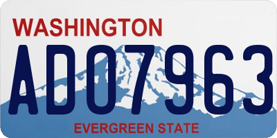 WA license plate ADO7963