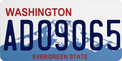 WA license plate ADO9065