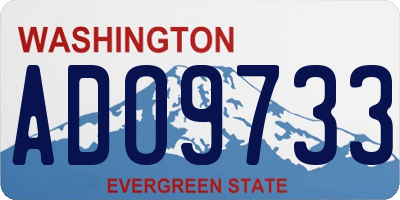 WA license plate ADO9733