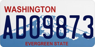 WA license plate ADO9873