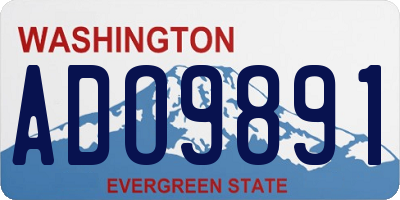 WA license plate ADO9891