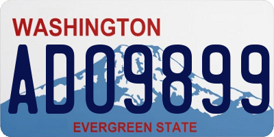 WA license plate ADO9899