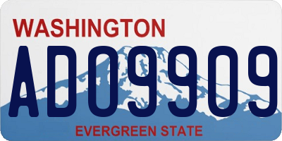 WA license plate ADO9909