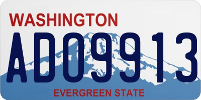 WA license plate ADO9913